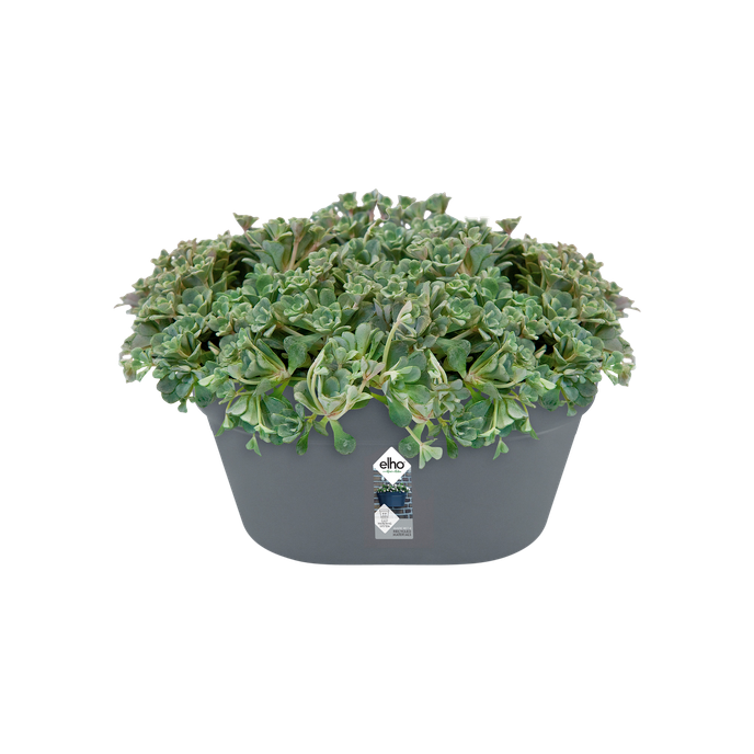 loft urban wandbak 40cm antraciet